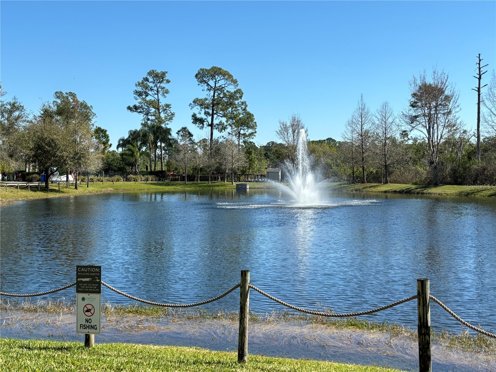 14501 Grove Resort Avenue #3128 Winter Garden FL 34787 G5107535 image29