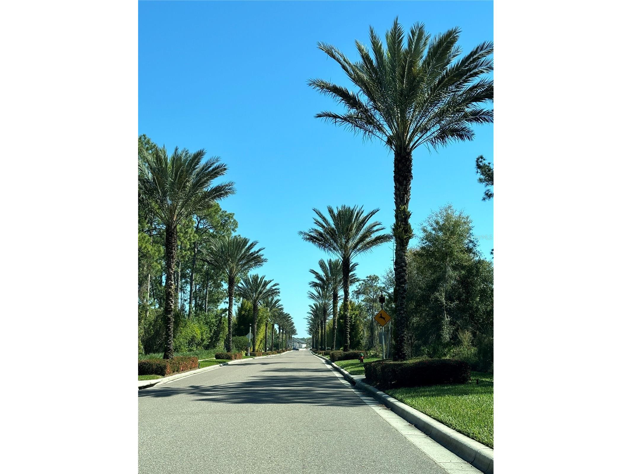 14501 Grove Resort Avenue #3128 Winter Garden FL 34787 G5107535 image31