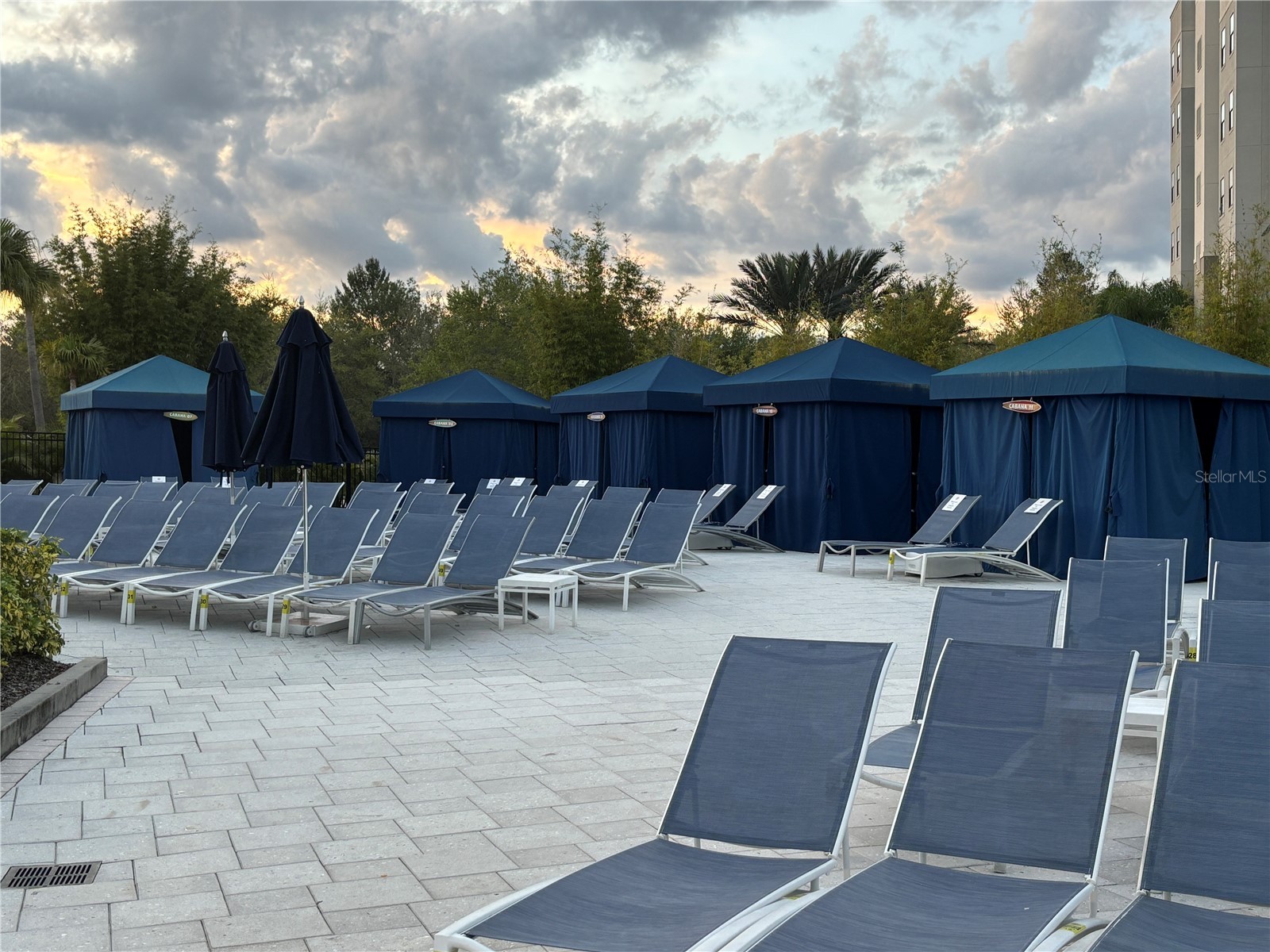 14501 Grove Resort Avenue #3128 Winter Garden FL 34787 G5107535 image45