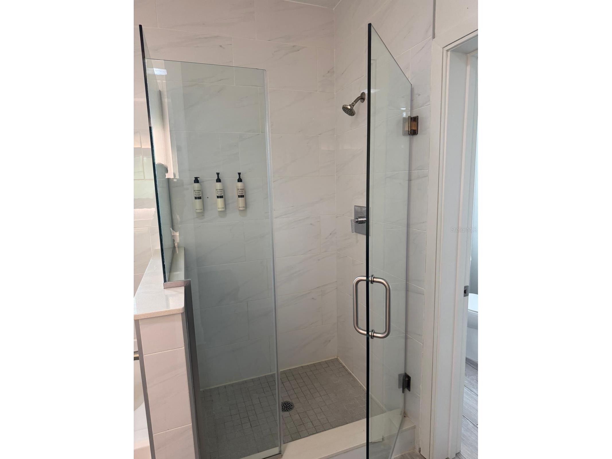 14501 Grove Resort Avenue #3135 Winter Garden FL 34787 O6378661 image18