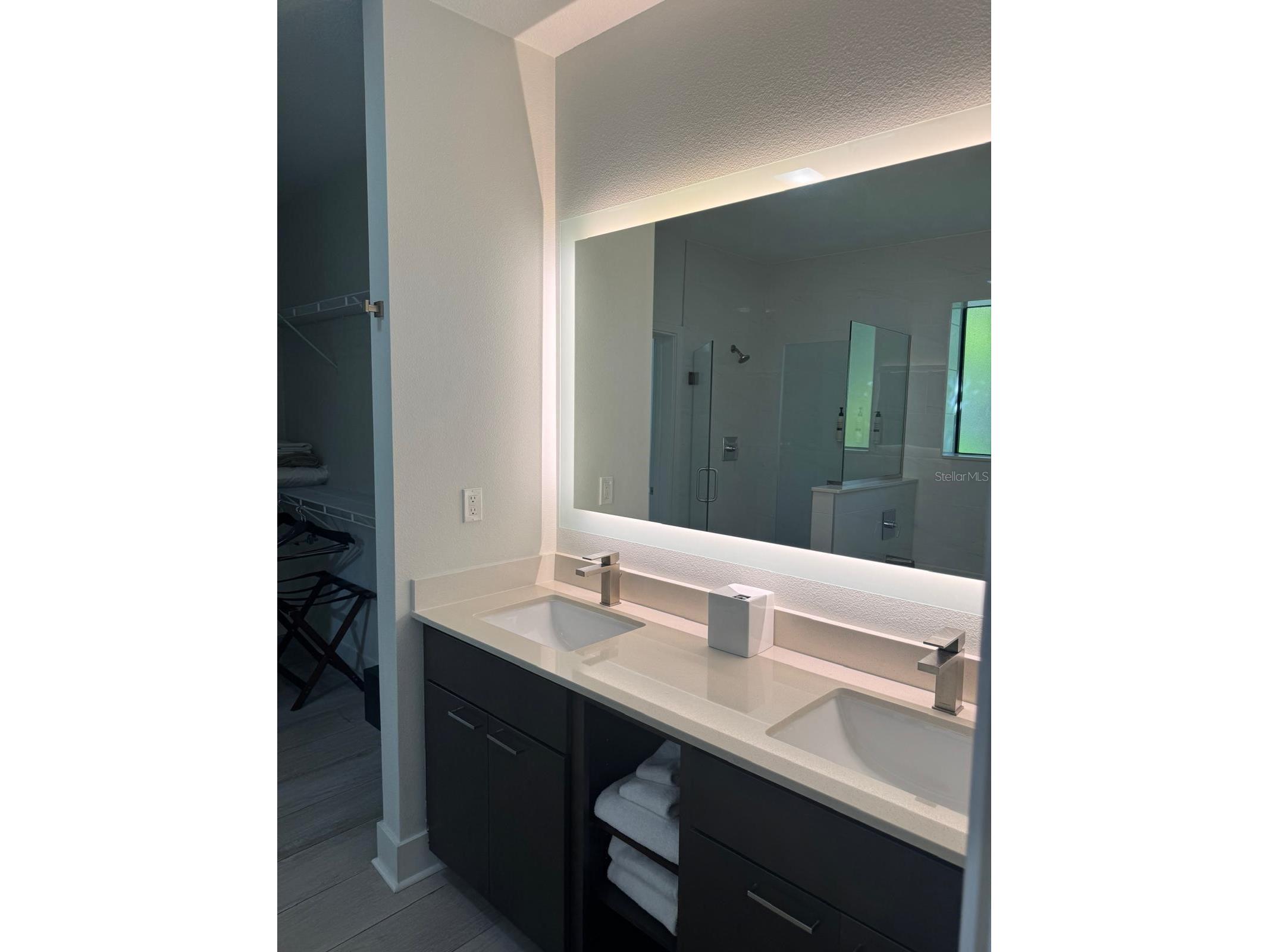 14501 Grove Resort Avenue #3135 Winter Garden FL 34787 O6378661 image20