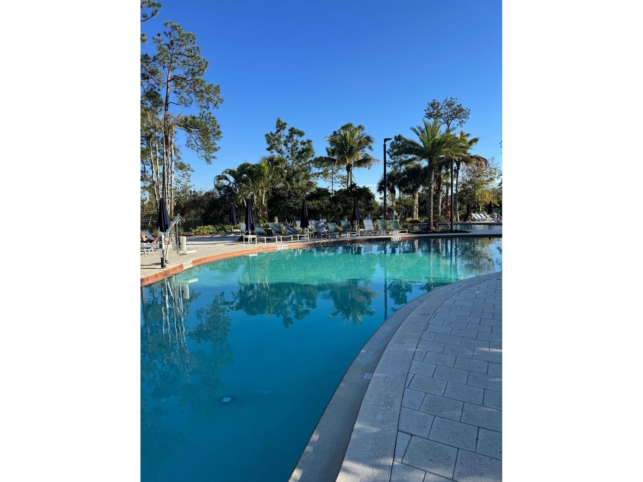 14501 Grove Resort Avenue #3135 Winter Garden FL 34787 O6378661 image38