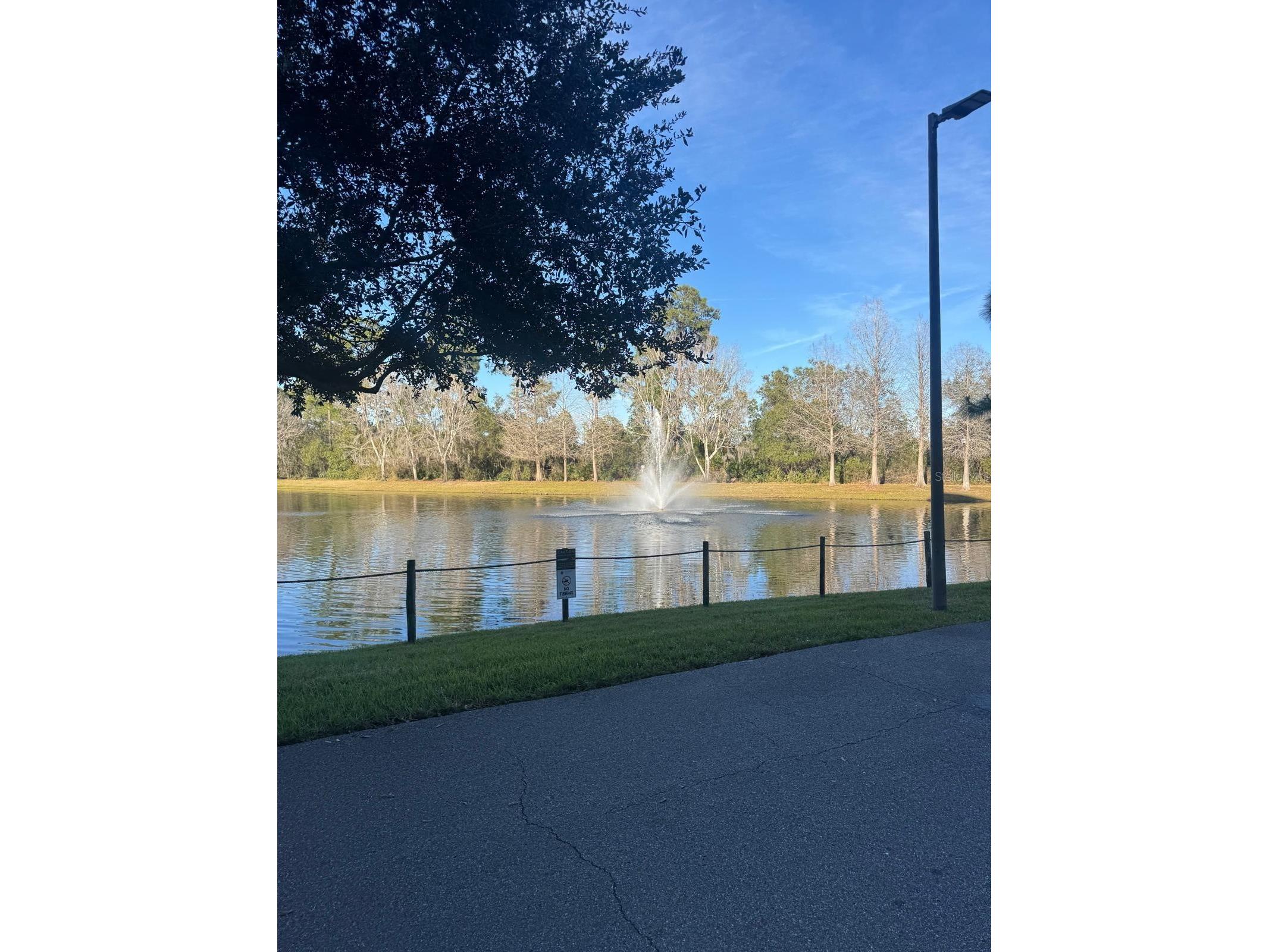 14501 Grove Resort Avenue #3135 Winter Garden FL 34787 O6378661 image39