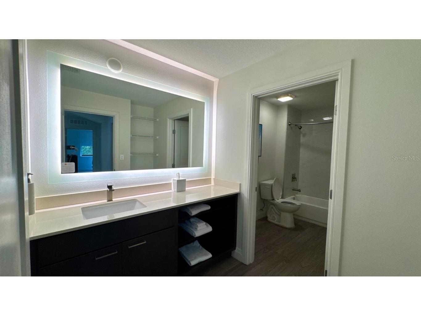 14501 Grove Resort Avenue #3202 Winter Garden FL 34787 O6338004 image9