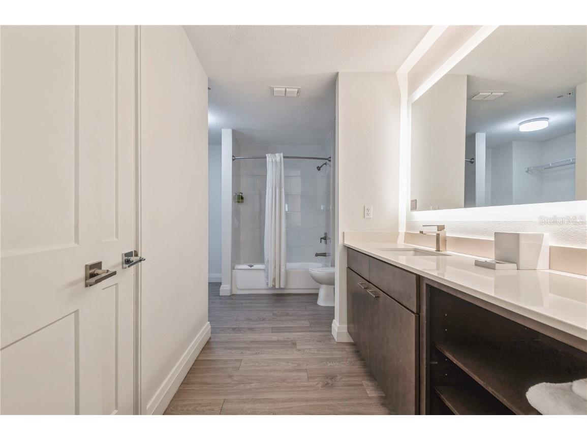 14501 Grove Resort Avenue #3209 Winter Garden FL 34787 O6184794 image22