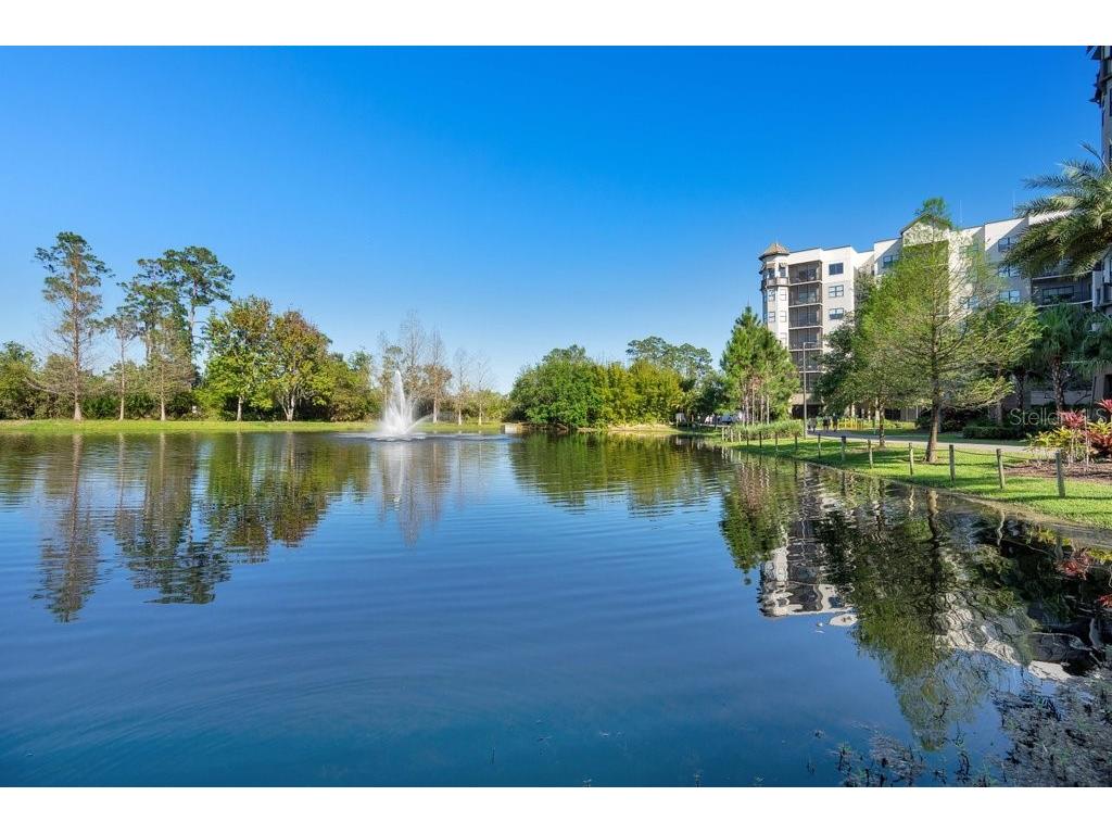 14501 Grove Resort Avenue #3209 Winter Garden FL 34787 O6184794 image44