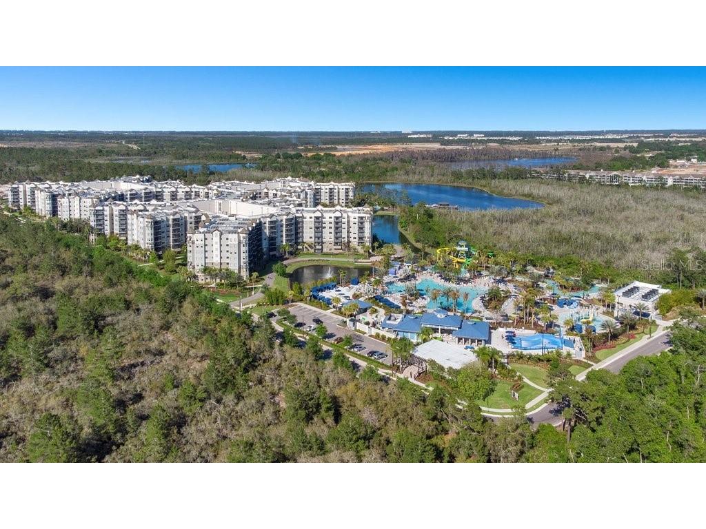 14501 Grove Resort Avenue #3209 Winter Garden FL 34787 O6184794 image45