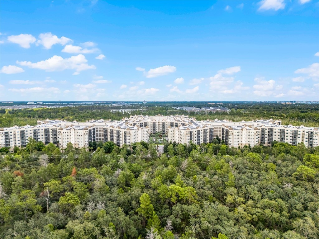 14501 Grove Resort Avenue #3215 Winter Garden FL 34787 S5138120 image2