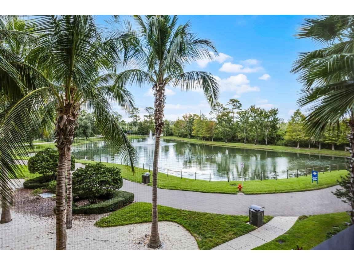 14501 Grove Resort Avenue #3215 Winter Garden FL 34787 S5138120 image28