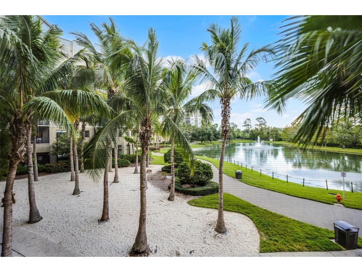 14501 Grove Resort Avenue #3215 Winter Garden FL 34787 S5138120 image30
