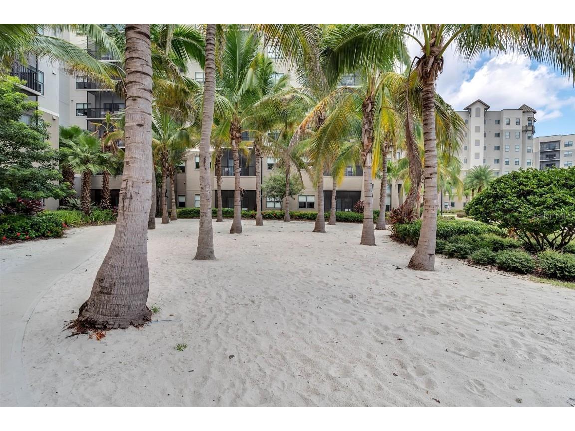 14501 Grove Resort Avenue #3215 Winter Garden FL 34787 S5138120 image38