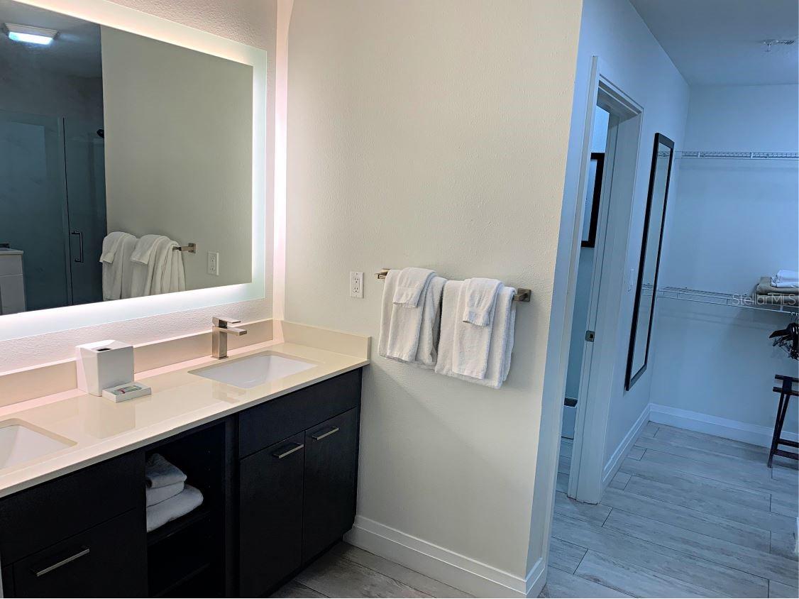 14501 Grove Resort Avenue #3231 Winter Garden FL 34787 - LAKE AUSTIN O6423511 image19