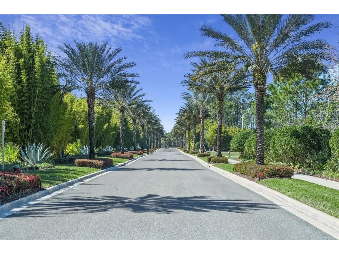 14501 Grove Resort Avenue #3406 Winter Garden FL 34787 G5098127 image5