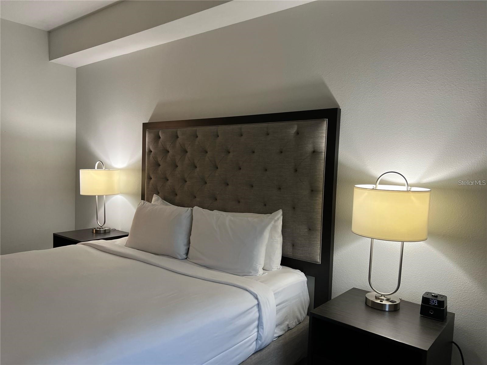 14501 Grove Resort Avenue #3406 Winter Garden FL 34787 S5154450 image6