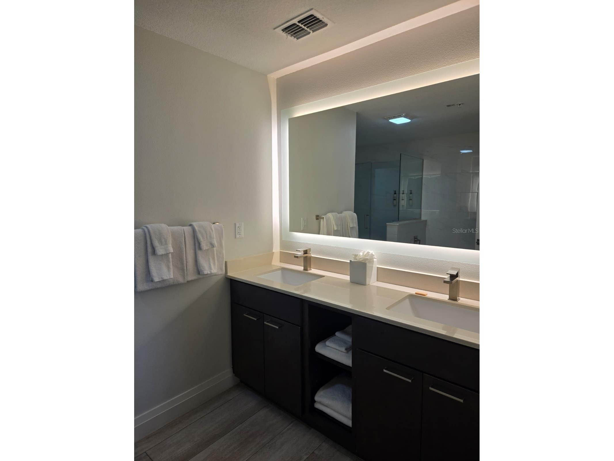 14501 Grove Resort Avenue #3424 Winter Garden FL 34787 S5141575 image11