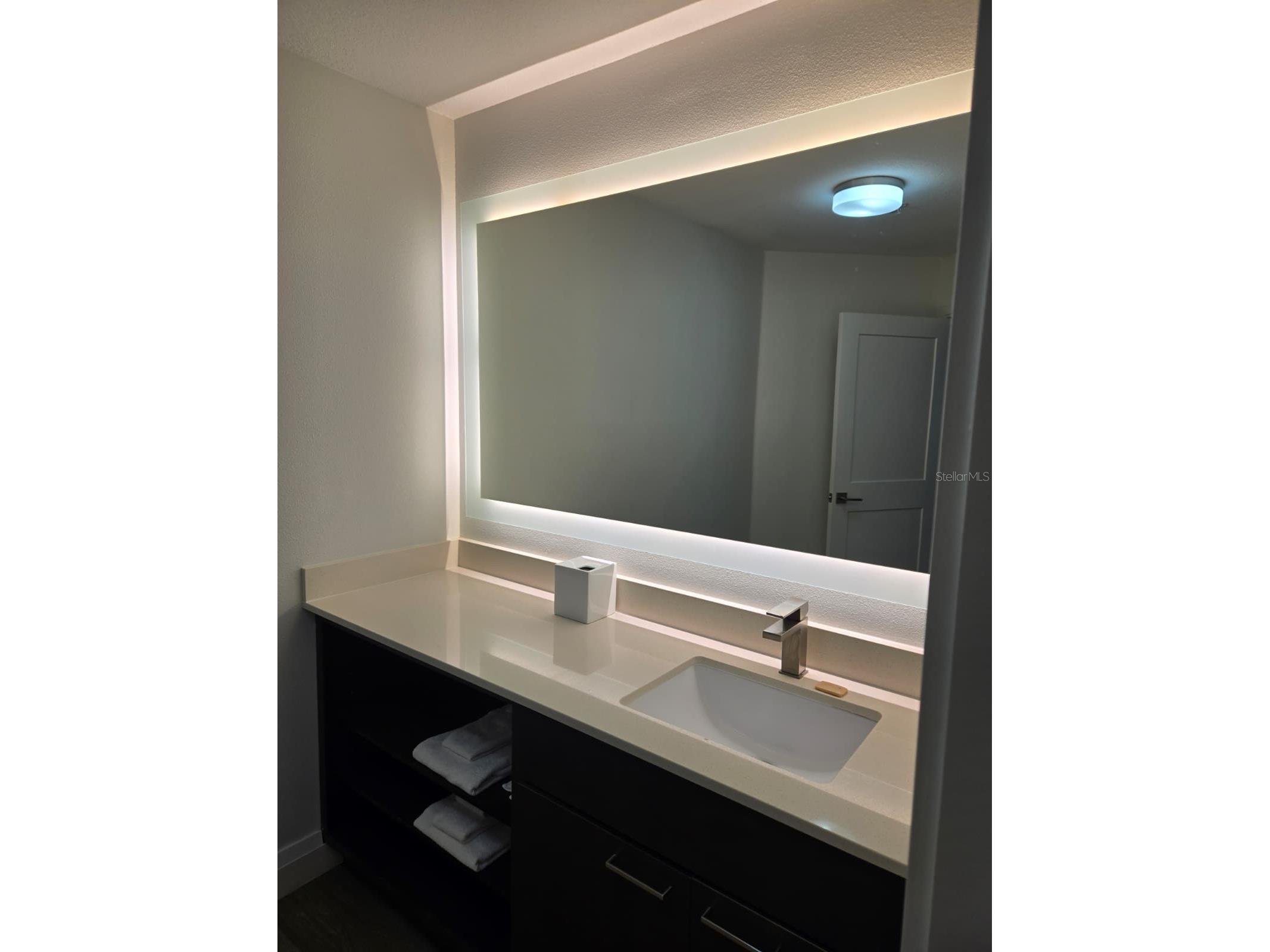 14501 Grove Resort Avenue #3424 Winter Garden FL 34787 S5141575 image9