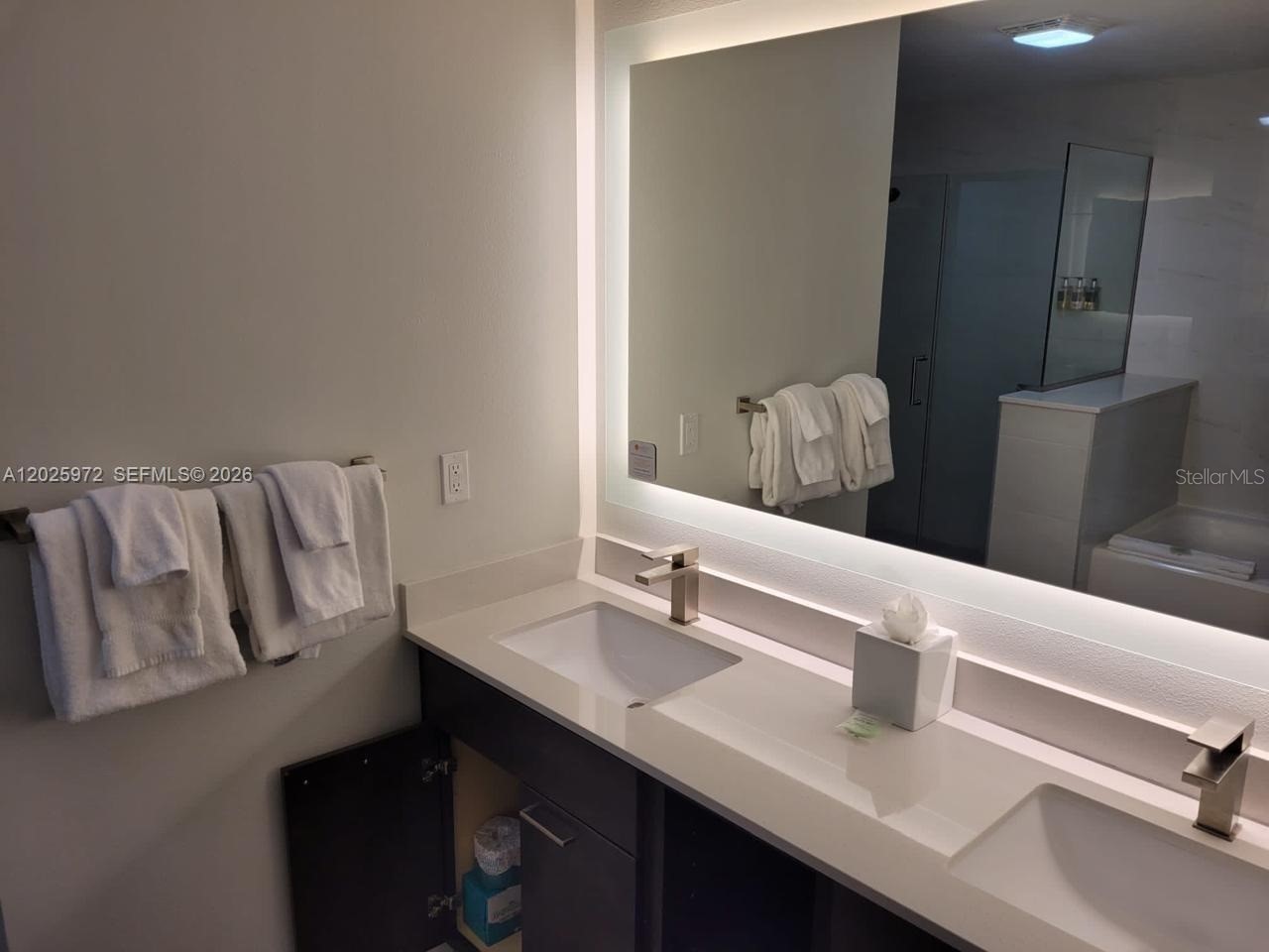 14501 Grove Resort Avenue #3425 Winter Garden FL 34787 O6414956 image13