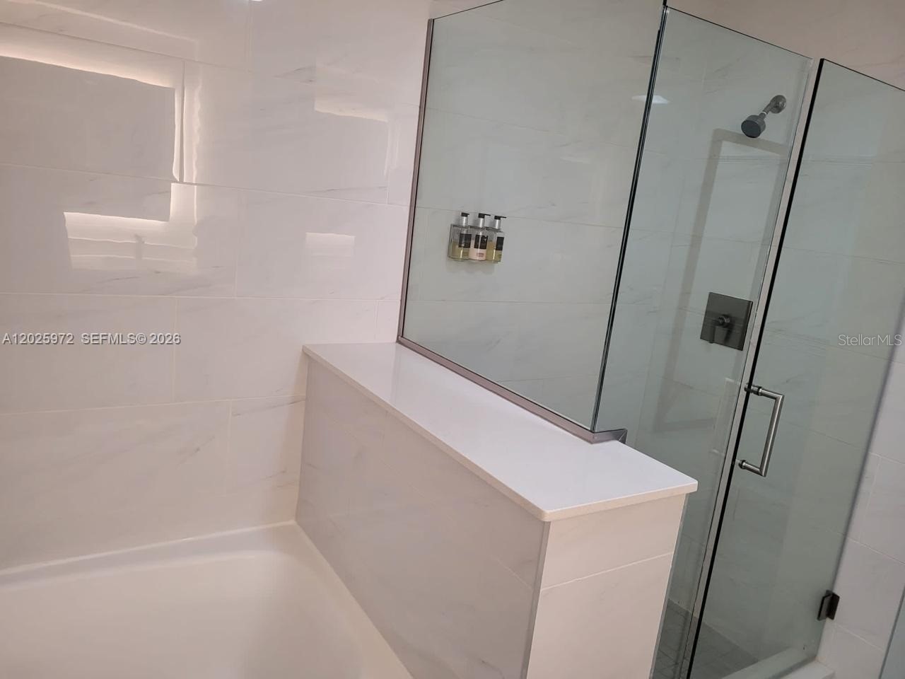 14501 Grove Resort Avenue #3425 Winter Garden FL 34787 O6414956 image14