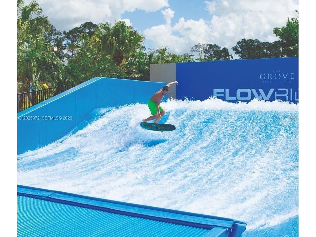 14501 Grove Resort Avenue #3425 Winter Garden FL 34787 O6414956 image19