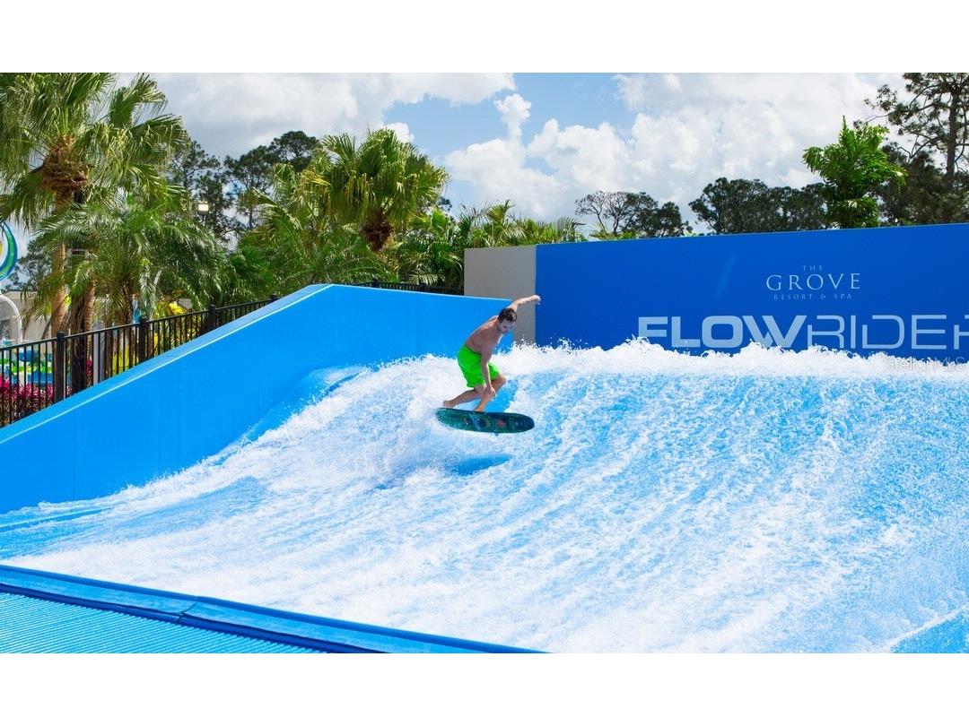 14501 Grove Resort Avenue #3439 Winter Garden FL 34787 S5113245 image8