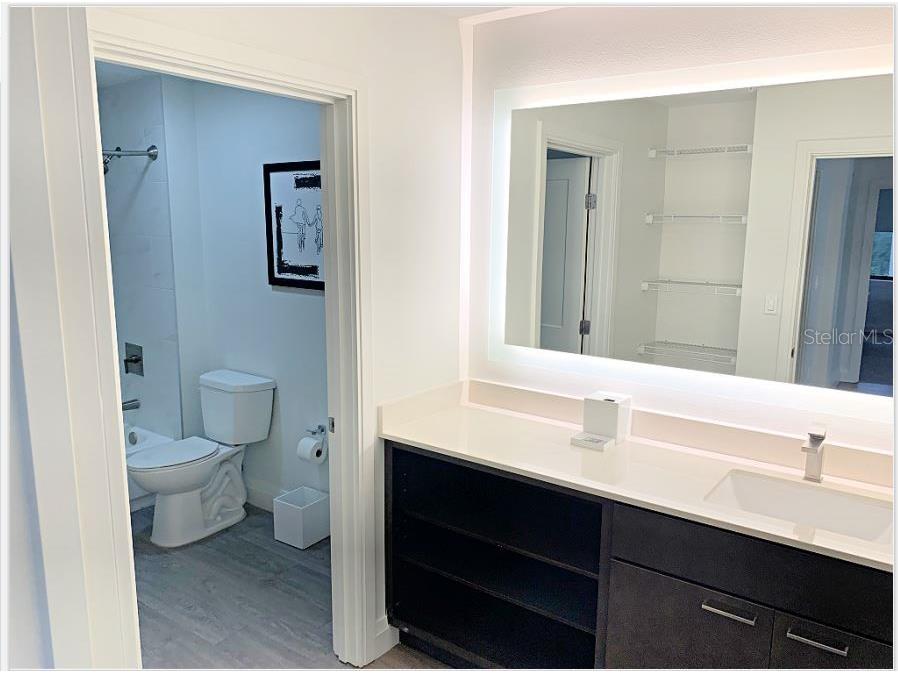 14501 Grove Resort Avenue #3538 Winter Garden FL 34787 - LAKE AUSTIN O6280623 image39