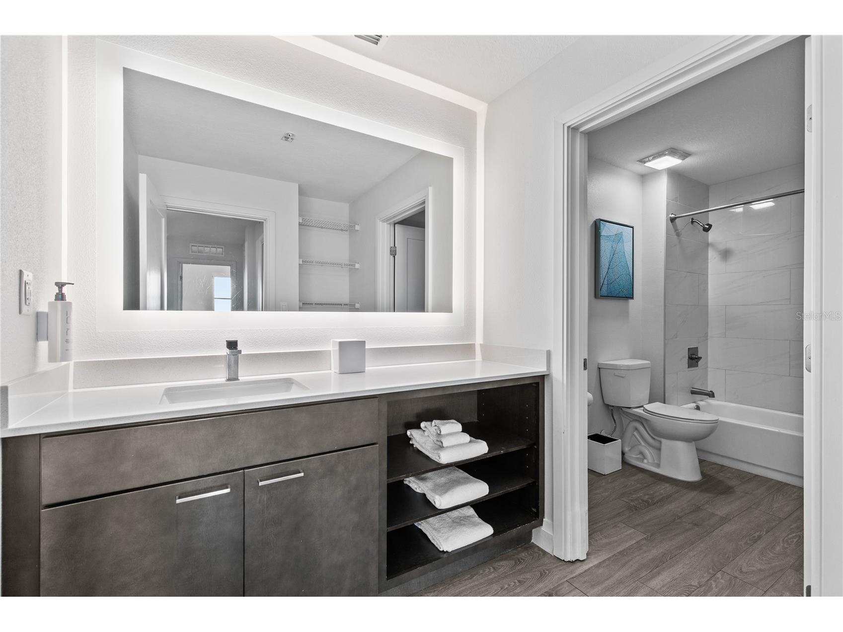 14501 Grove Resort Avenue #3619 Winter Garden FL 34787 O6374077 image13
