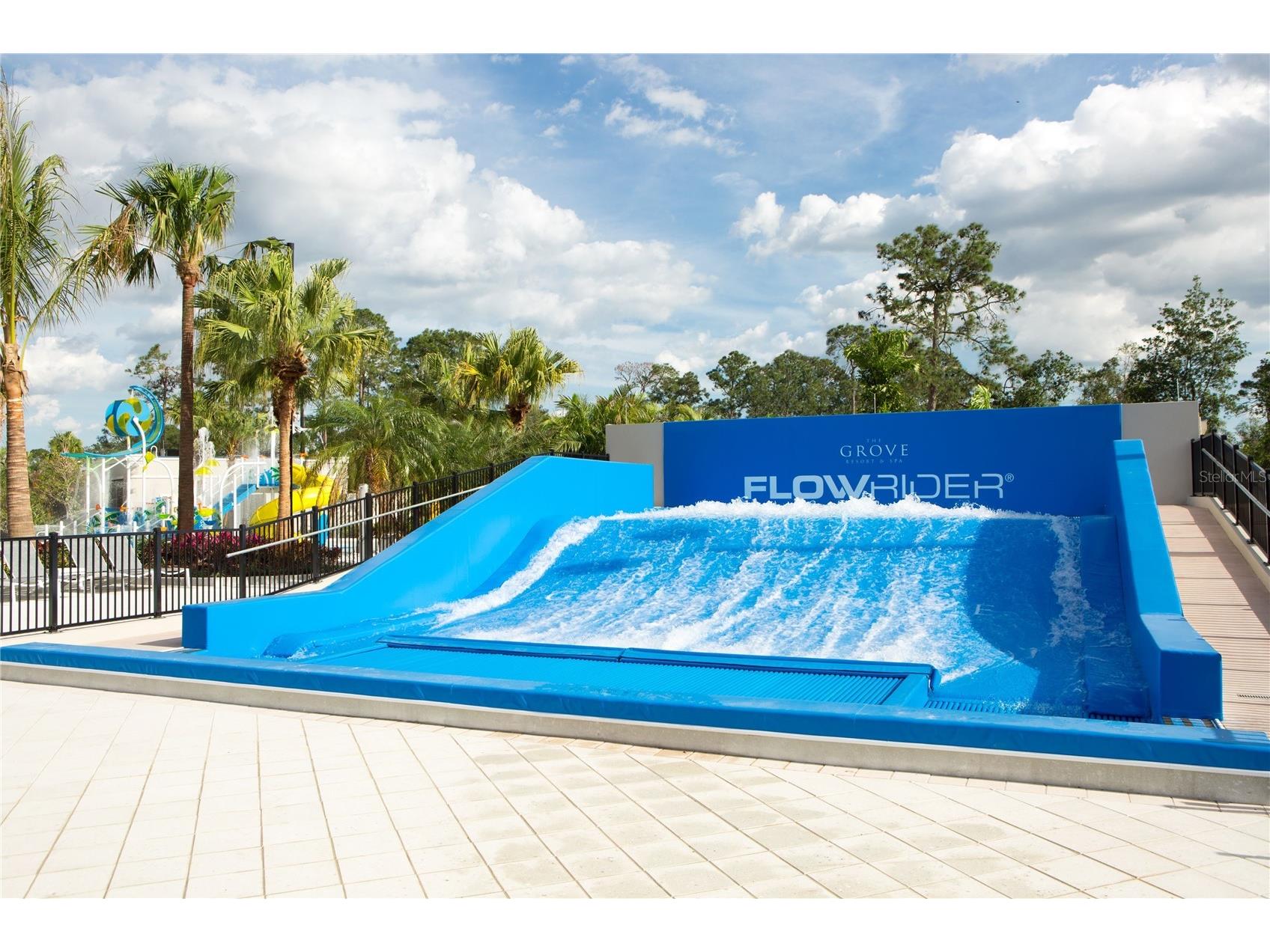14501 Grove Resort Avenue #3630 Winter Garden FL 34787 - LAKE AUSTIN S5148670 image50