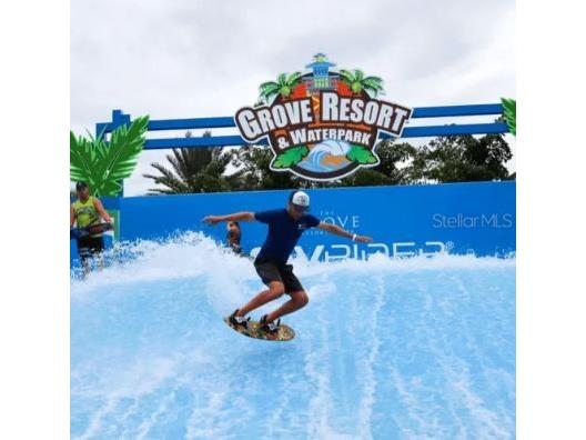 14501 Grove Resort Avenue #3642 Winter Garden FL 34787 TB8318295 image38