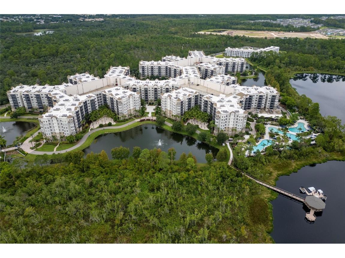 14501 Grove Resort Avenue #3642 Winter Garden FL 34787 TB8318295 image9