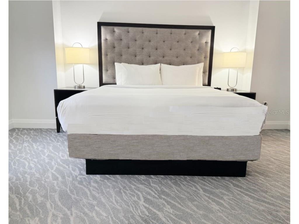 14501 Grove Resort Avenue #3712 Winter Garden FL 34787 - LAKE AUSTIN O6359458 image19