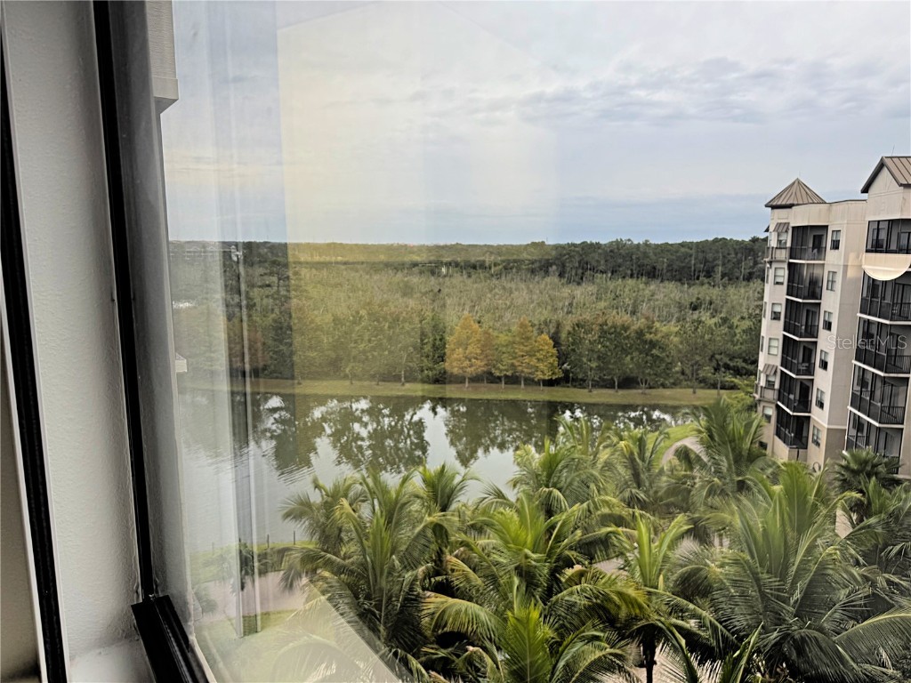 14501 Grove Resort Avenue #3712 Winter Garden FL 34787 - LAKE AUSTIN O6359458 image35