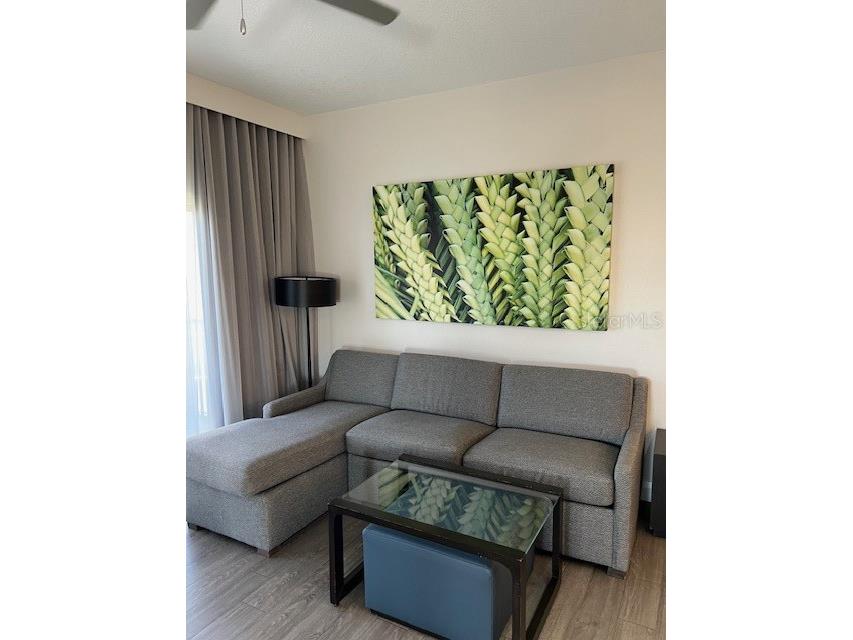 14501 Grove Resort Avenue #3714 Winter Garden FL 34787 O6315392 image10