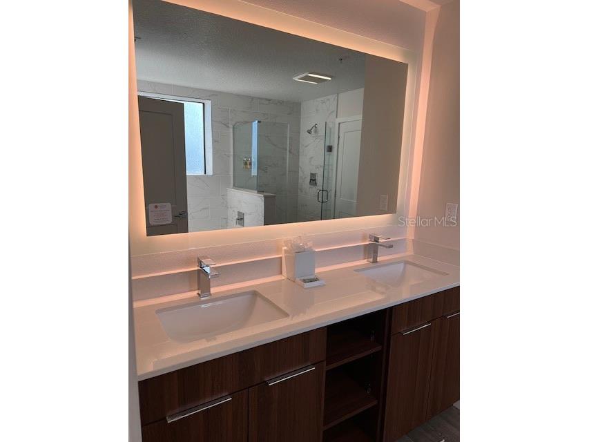 14501 Grove Resort Avenue #3714 Winter Garden FL 34787 O6315392 image13