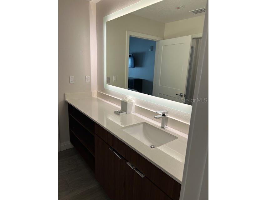 14501 Grove Resort Avenue #3714 Winter Garden FL 34787 O6315392 image14