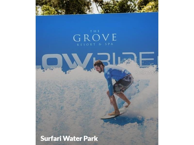 14501 Grove Resort Avenue #3714 Winter Garden FL 34787 O6315392 image16