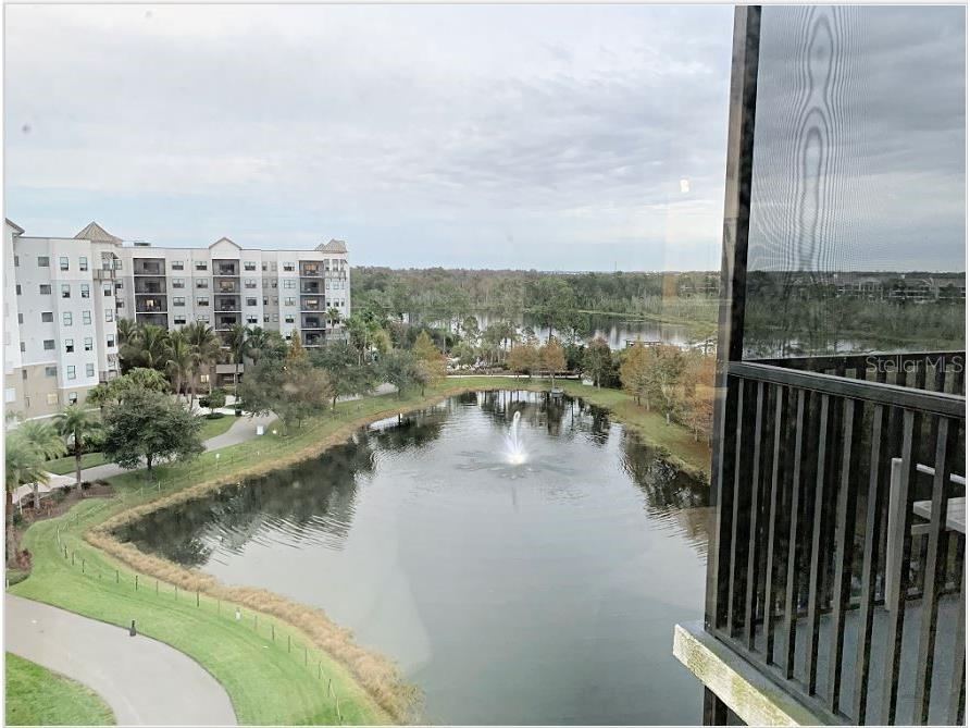 14501 Grove Resort Avenue #3716 Winter Garden FL 34787 - LAKE AUSTIN O6360135 image22