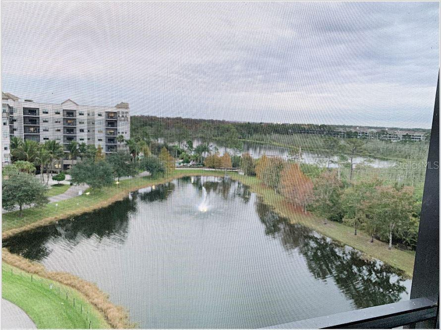 14501 Grove Resort Avenue #3716 Winter Garden FL 34787 - LAKE AUSTIN O6360135 image23