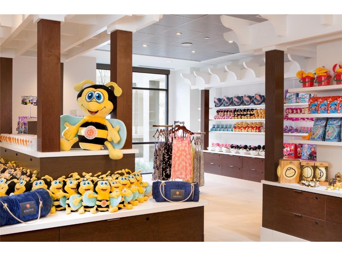 14501 Grove Resort Avenue #3716 Winter Garden FL 34787 - LAKE AUSTIN O6360135 image35