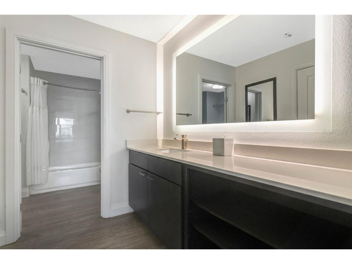 14501 Grove Resort Avenue #3735 Winter Garden FL 34787 O6295059 image19