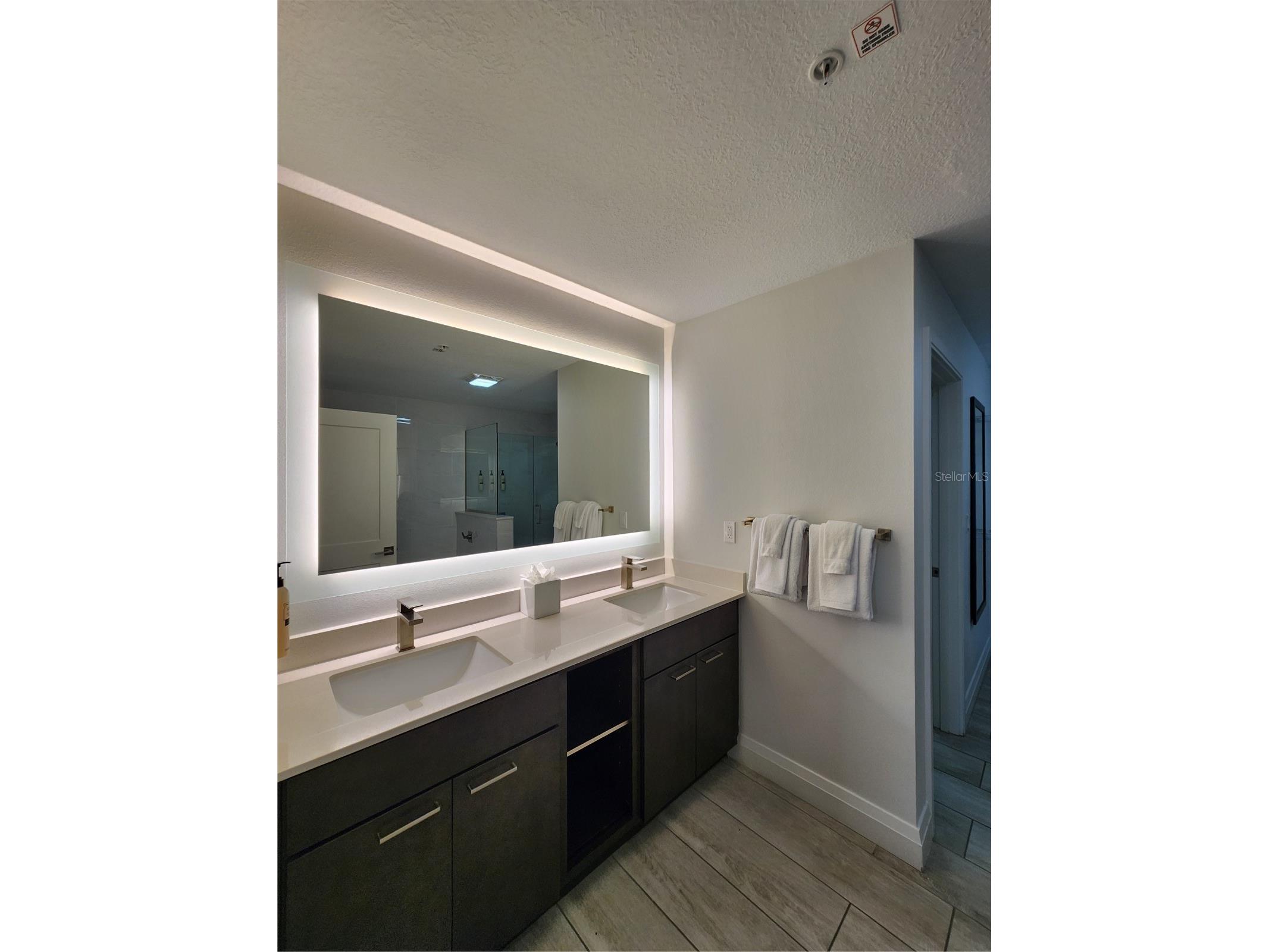 14501 Grove Resort Avenue #3737 Winter Garden FL 34787 O6400544 image12