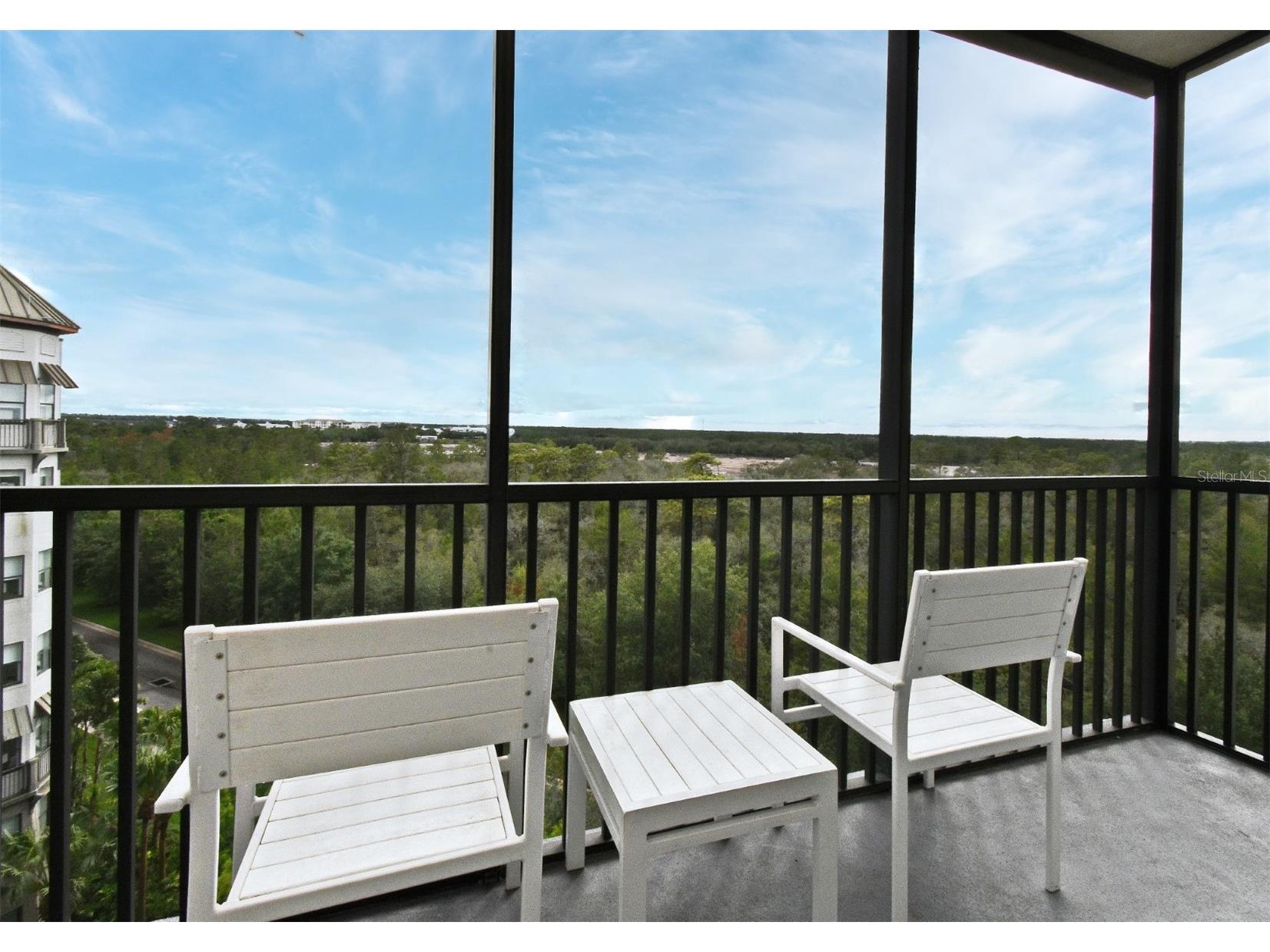 14501 Grove Resort Avenue #3741 Winter Garden FL 34787 O6306844 image29