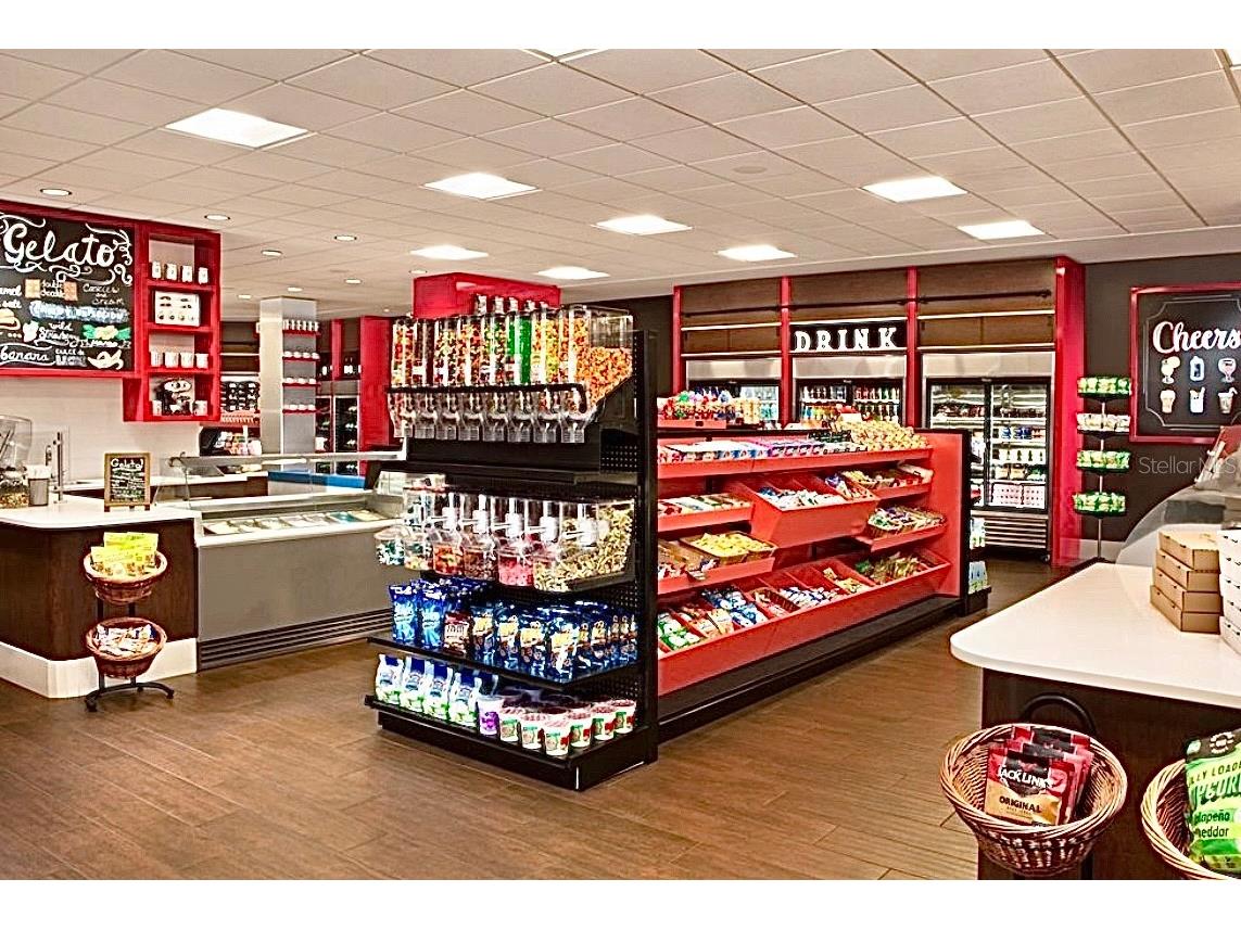 14501 Grove Resort Avenue #3741 Winter Garden FL 34787 O6306844 image43