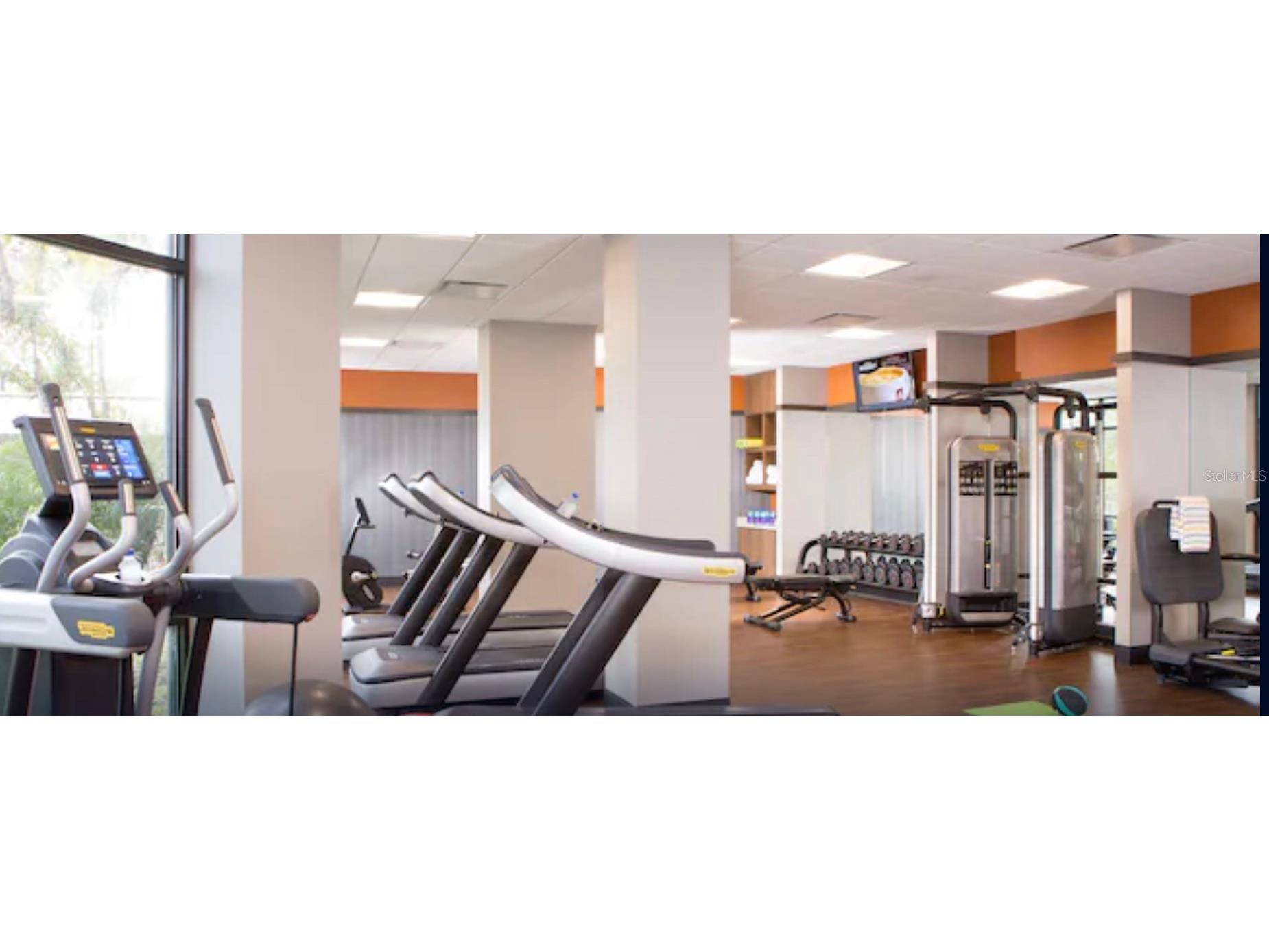 14501 Grove Resort Avenue #3741 Winter Garden FL 34787 O6306844 image44