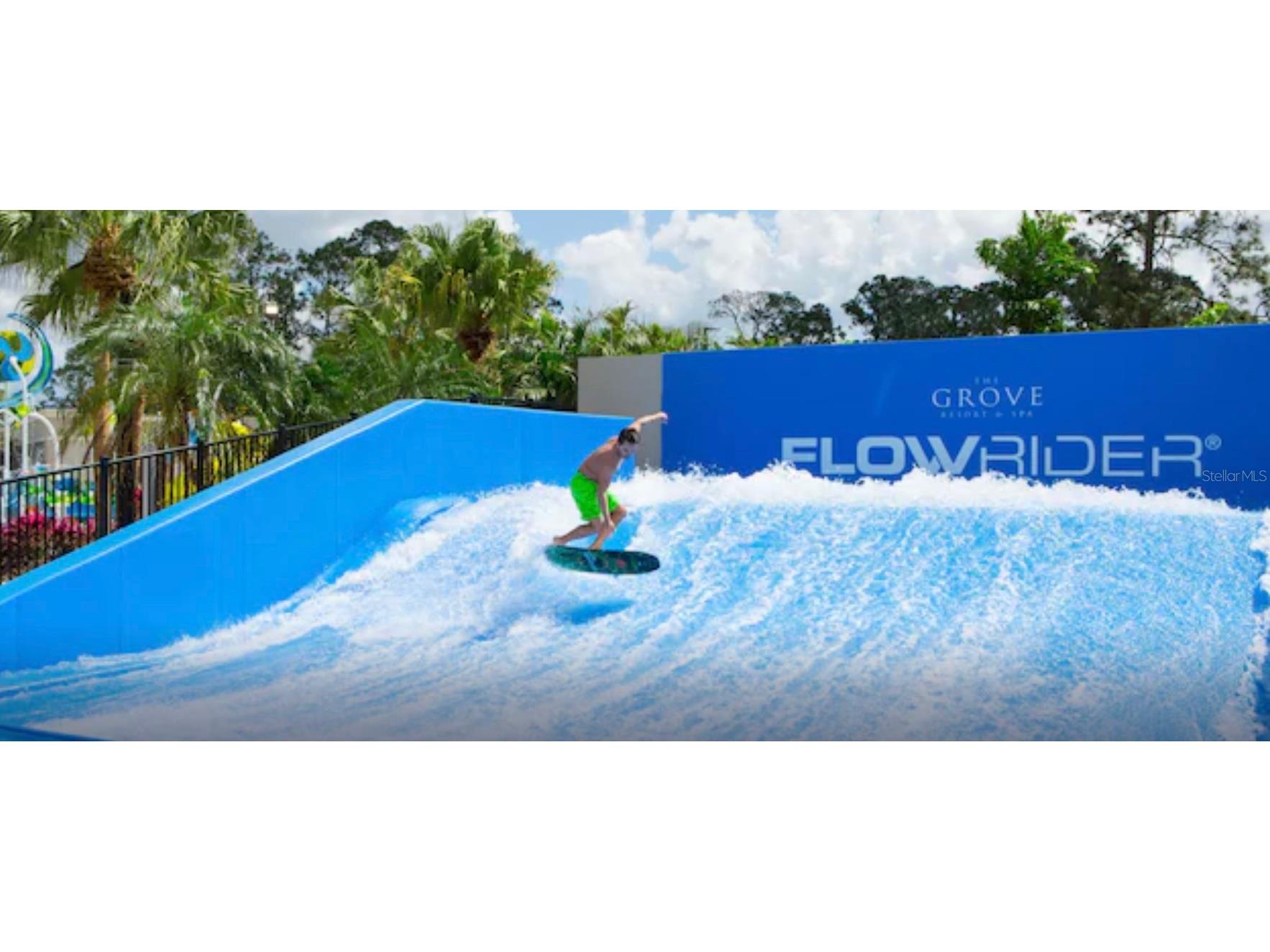 14501 Grove Resort Avenue #3741 Winter Garden FL 34787 O6306844 image50