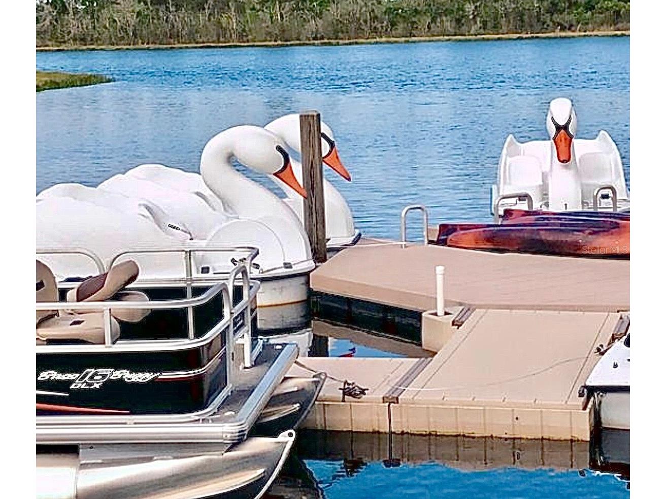 14501 Grove Resort Avenue #3741 Winter Garden FL 34787 O6306844 image51