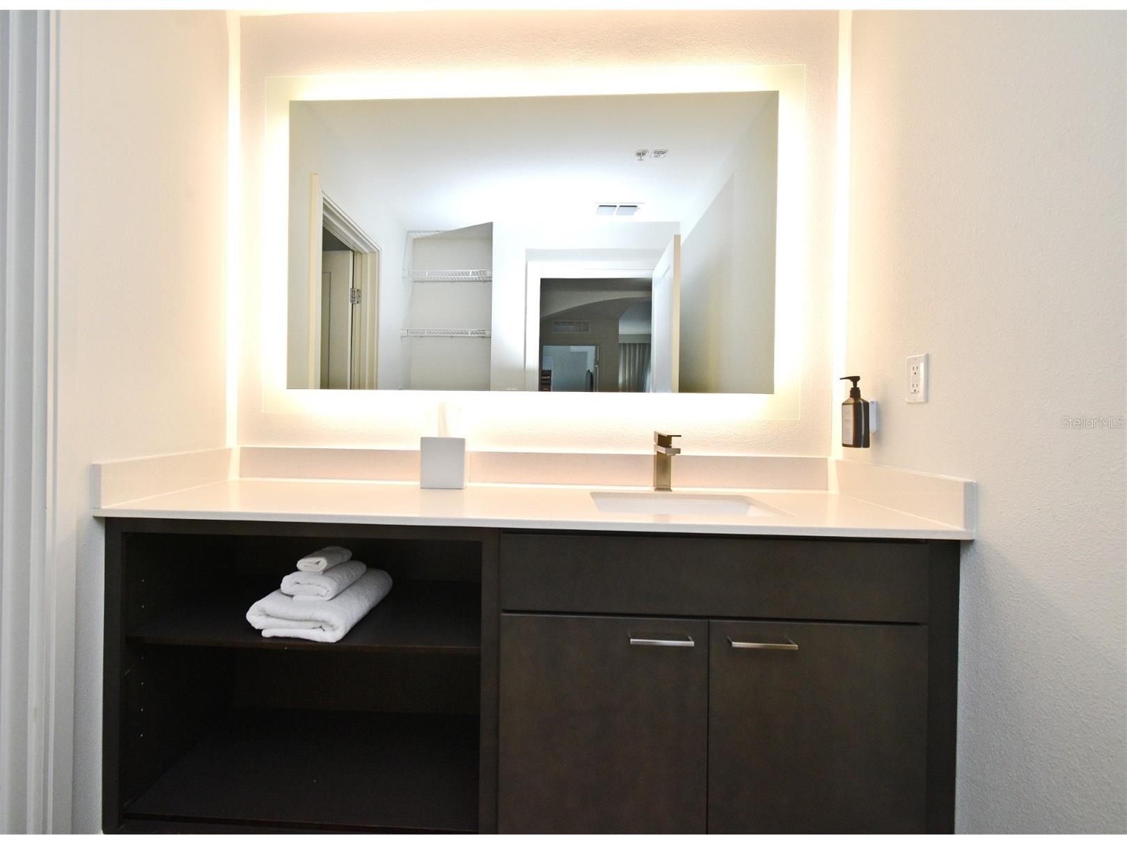 14501 Grove Resort Avenue #3741 Winter Garden FL 34787 O6306844 image7