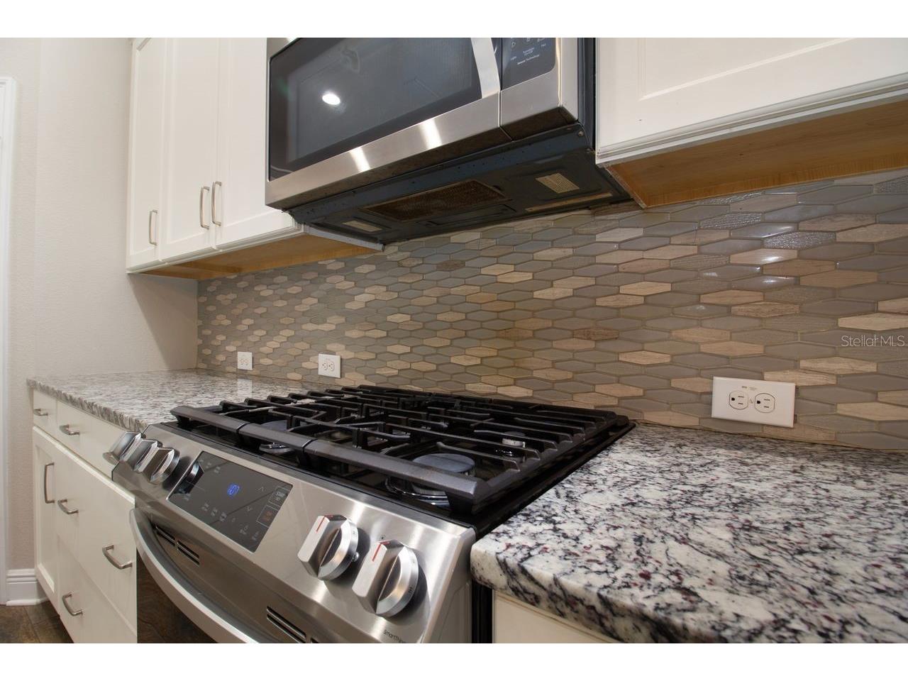 14501 Promenade Parkway Odessa FL 33556 TB8509551 image12
