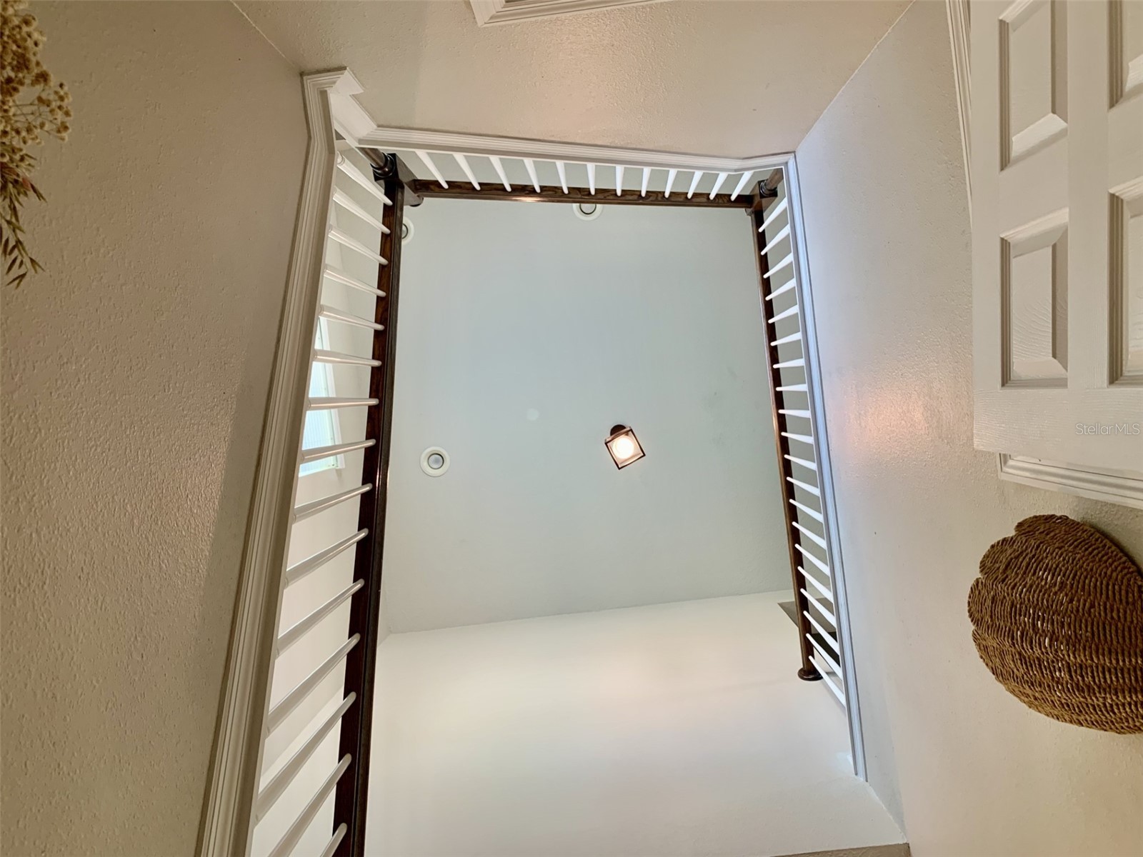 14501 Promenade Parkway Odessa FL 33556 TB8509551 image21