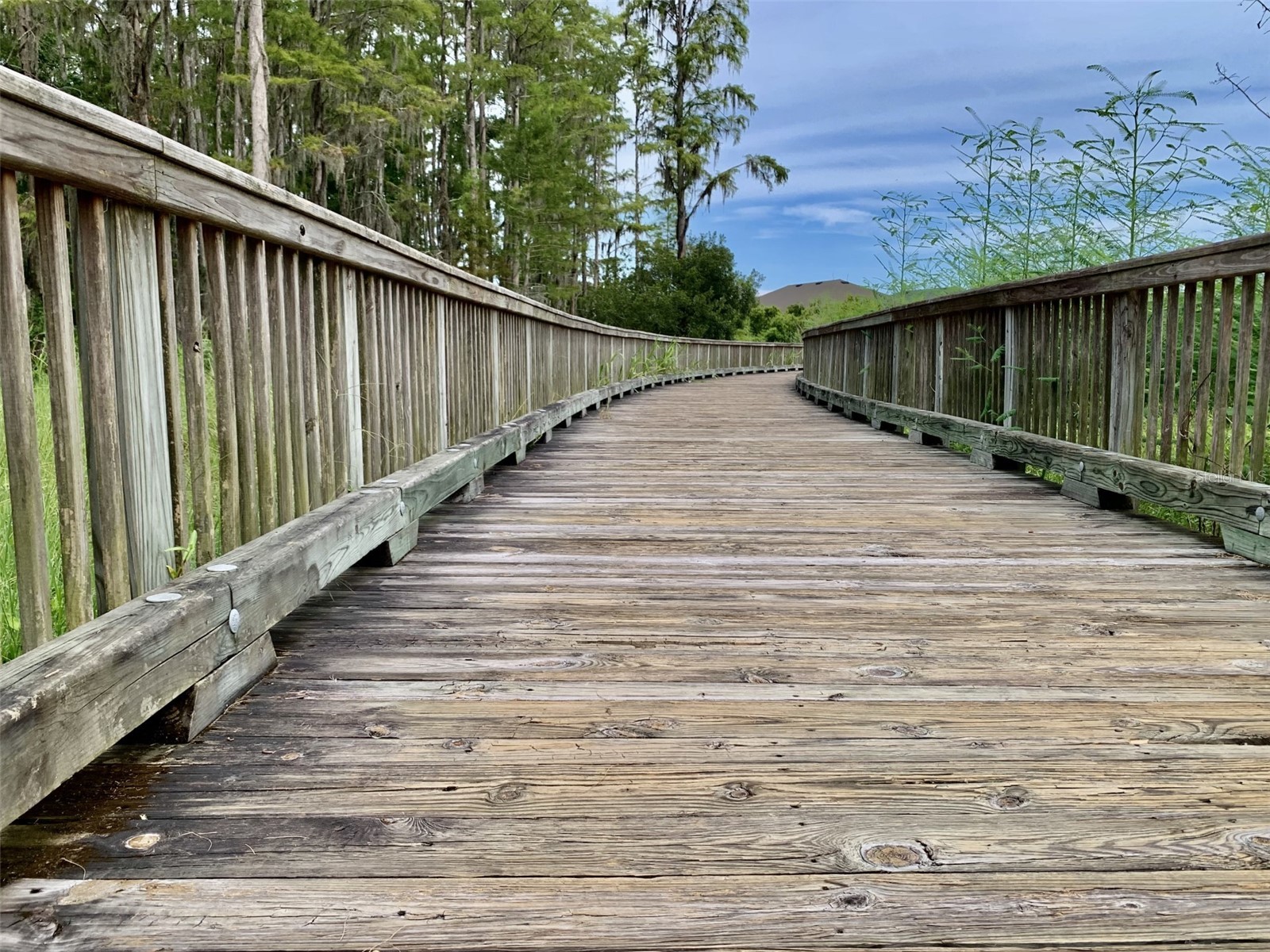 14501 Promenade Parkway Odessa FL 33556 TB8509551 image62