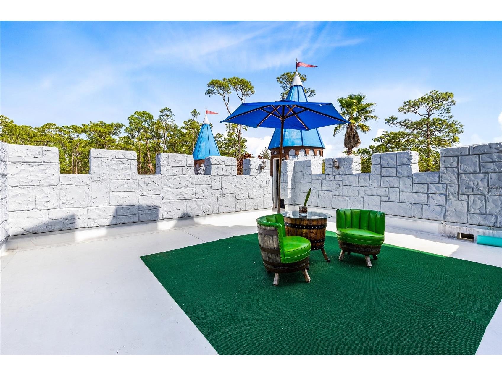 14502 Scotch Pine Court Orlando FL 32832 O6391745 image26